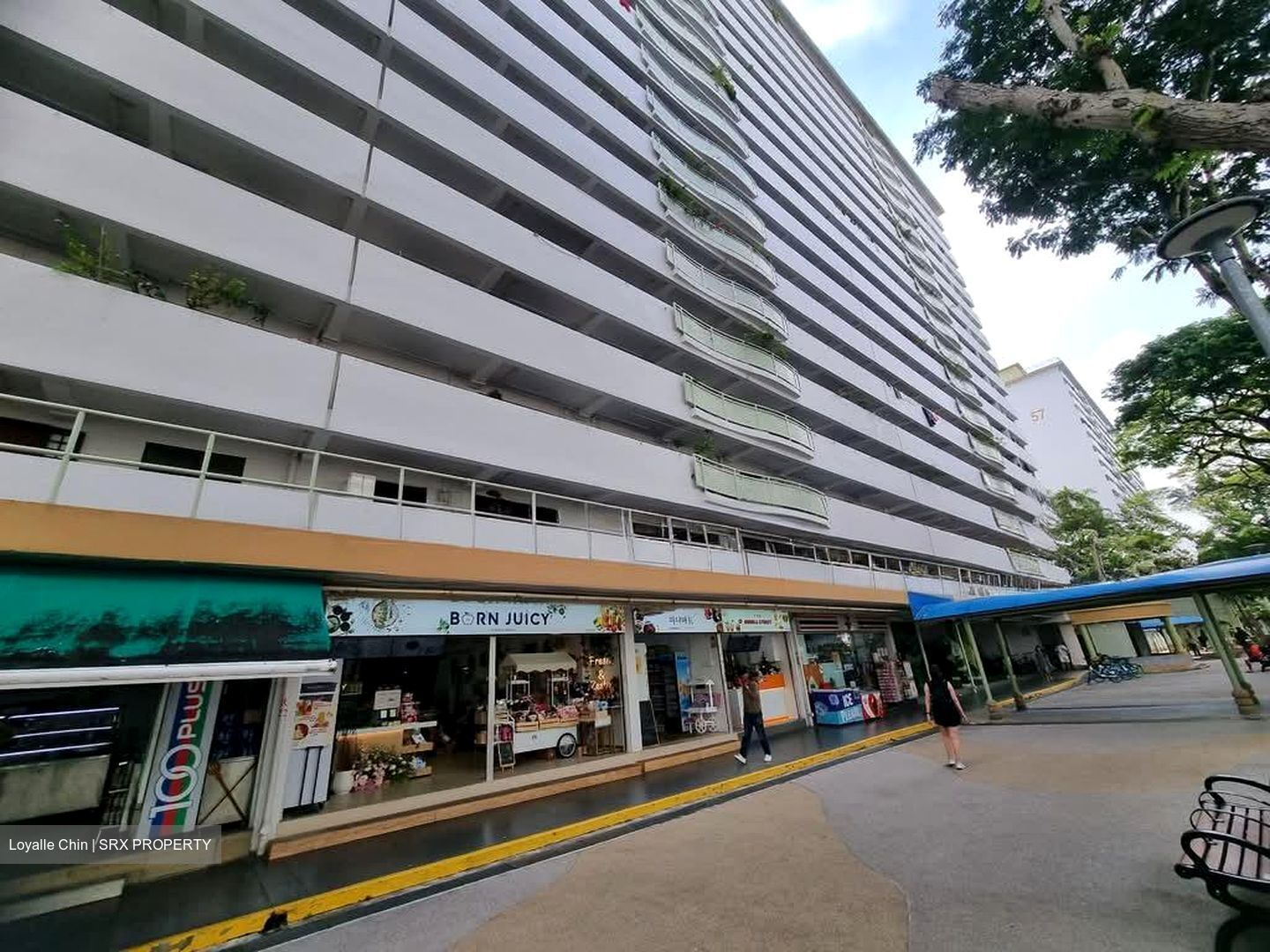 Geylang Bahru Ville (D12), Shop House #546078091